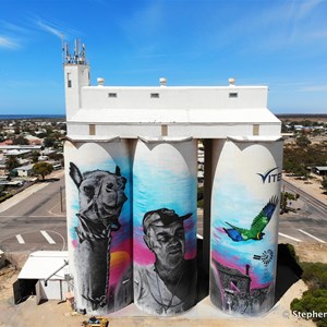 Cowell Silo Art