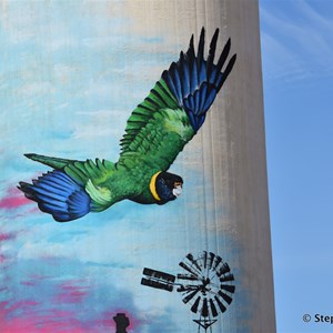 Cowell Silo Art