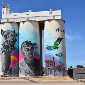 Cowell Silo Art