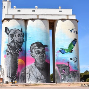 Cowell Silo Art