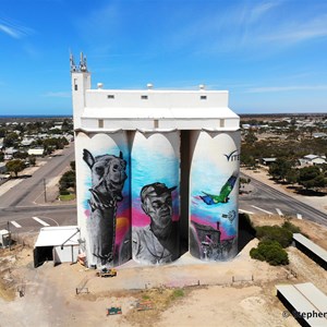 Cowell Silo Art