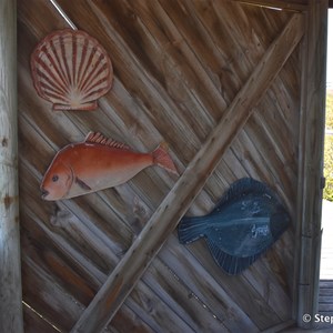 Cowell Mangrove Boardwalk