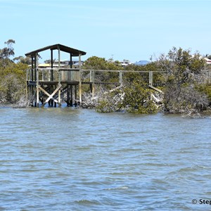 Cowell Mangrove Boardwalk