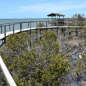 Cowell Mangrove Boardwalk