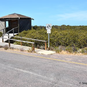 Cowell Mangrove Boardwalk