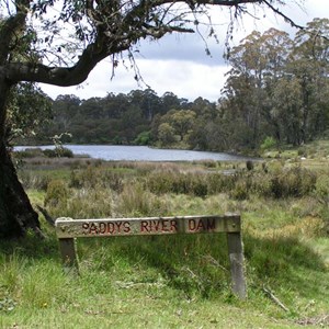 Paddys River Dam