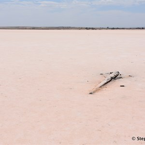 Lochiel Pink Lake