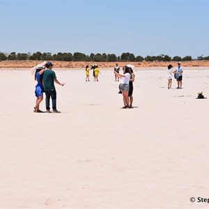 Lochiel Pink Lake