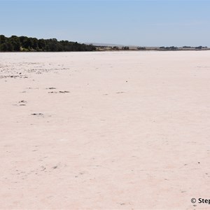 Lochiel Pink Lake
