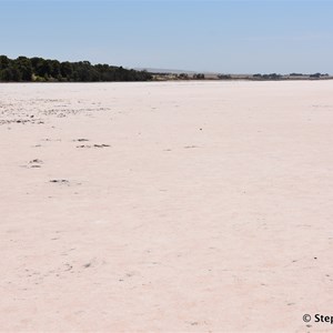 Lochiel Pink Lake