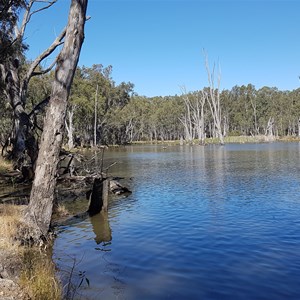 Lower Owens Wildlife Reserve - North Track