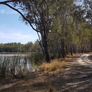 Lower Owens Wildlife Reserve - North Track