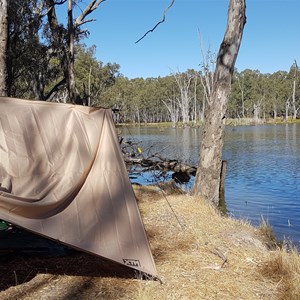 Lower Owens Wildlife Reserve - North Track