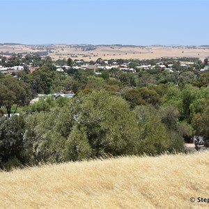 Gundrys Hill Lookout 