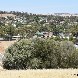 Gundrys Hill Lookout 