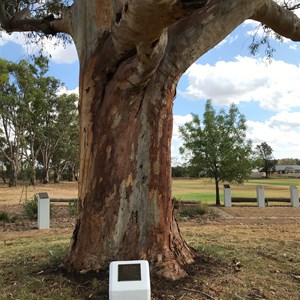 Henry Lawson’S Birthplace