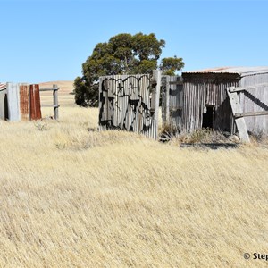 Porters Lagoon Grassland Project 