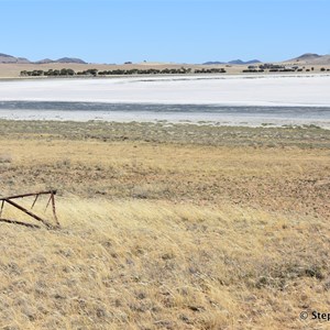 Porters Lagoon Grassland Project 