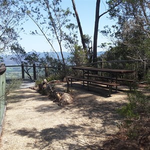 Newby's Lookout