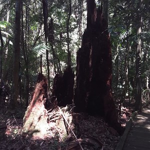 Starrs Creek Picnic Area