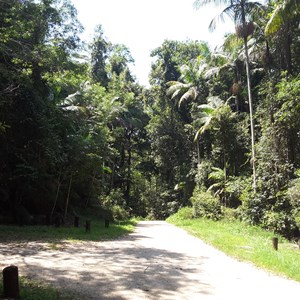 Starrs Creek Picnic Area