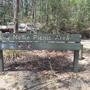 Big Nellie Picnic Area