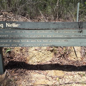 Big Nellie Picnic Area