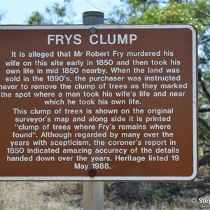Fry's Clump 