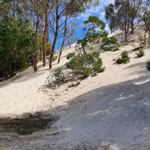 Henty Dunes Picnic Area