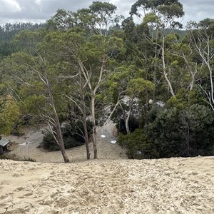 Henty Dunes Picnic Area