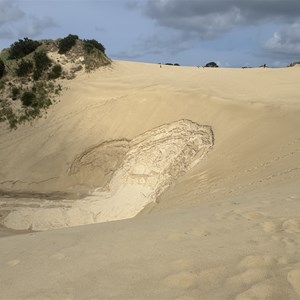 Henty Dunes Picnic Area