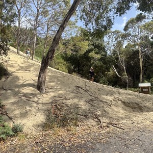 Henty Dunes Picnic Area