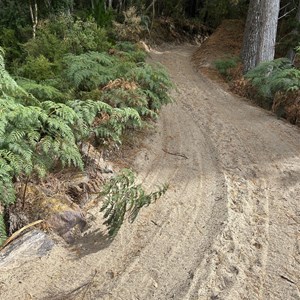 Henty Dunes Picnic Area