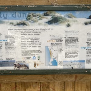 Henty Dunes Picnic Area