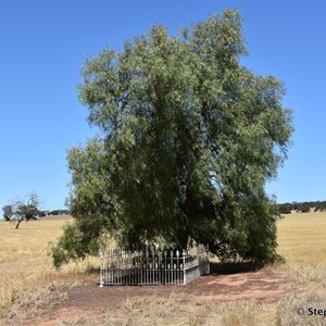 Scotty's Grave