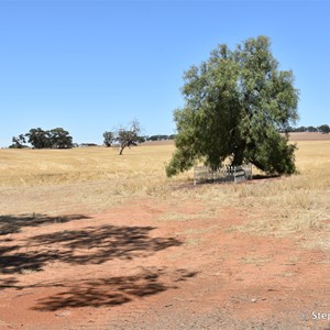 Scotty's Grave