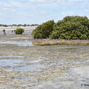 Thompsons Beach