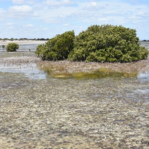 Thompsons Beach