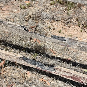 Woolsheds
