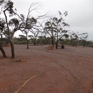 Forrest Lookout Campground
