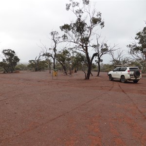 Forrest Lookout