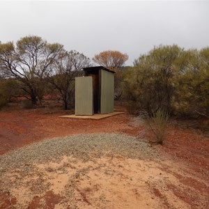 Forrest Lookout