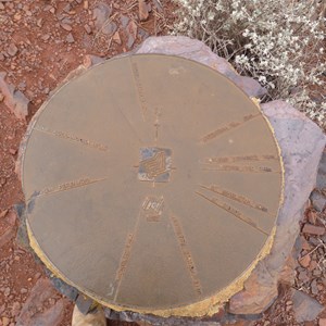 Forrest Lookout