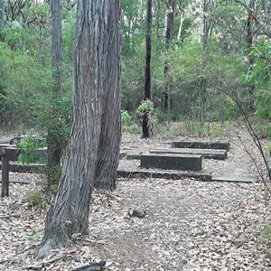 Long walk through beautiful forest of this very large POW camp ruins