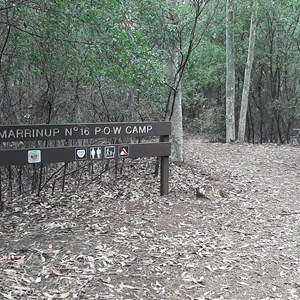 Signage at carpark