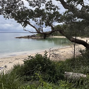 Honeymoon Bay Beecroft Weapons Range