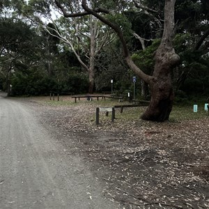 Honeymoon Bay Beecroft Weapons Range