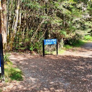 The past to the river and rain forest is well defined.