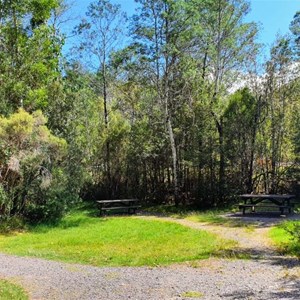 The picnic area.