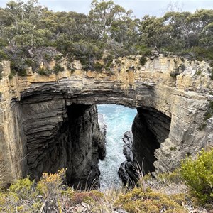 Tasman Arch